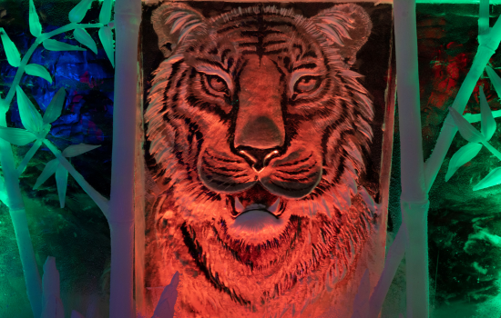 Treinaanbieding IJsbeeldenfestival tijger